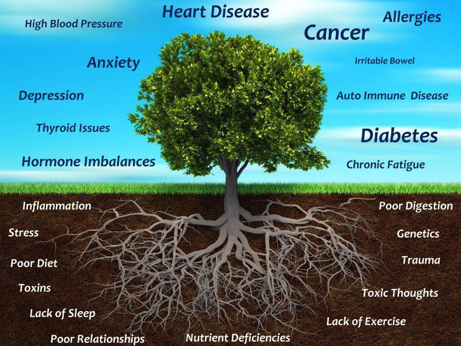 Functional medicine tree